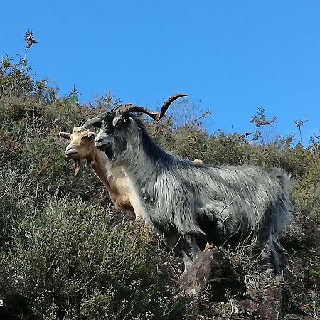 AlamelaCasinha Do Joao No Geres别墅 外观 照片